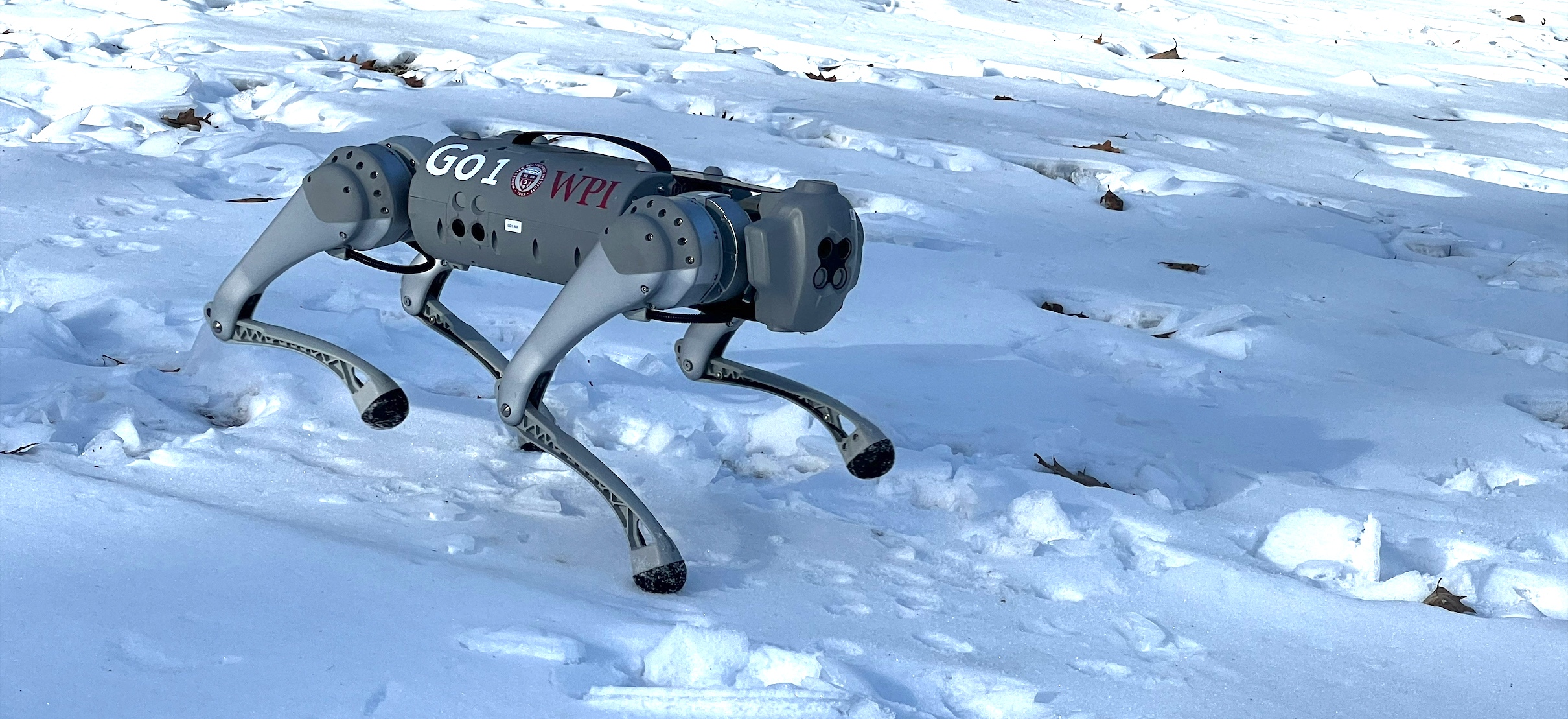 Quadruped robot